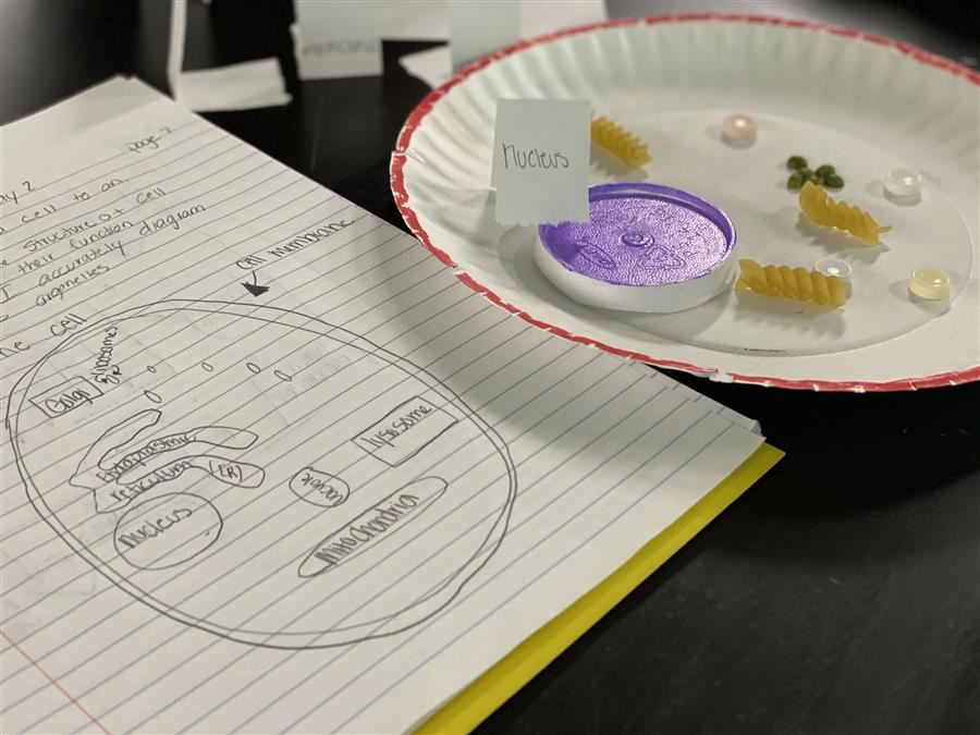 Dowdell science lab